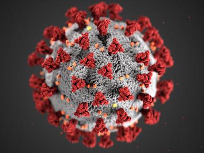 Coronavirus (COVID-19)